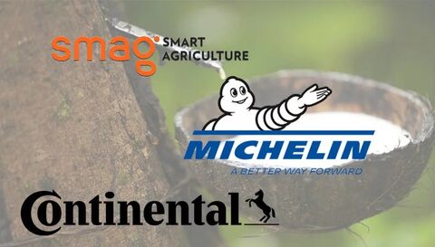 Rubberway: Michelin & Continental