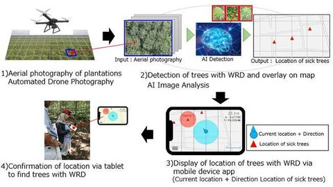 فناوری هوش مصنوعی تشخیص درخت کائوچو بیمار «بریجستون»