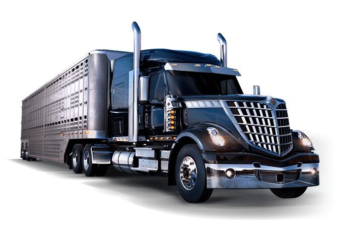 پرتقاضاترین برندهای کشنده در بازار جهانی