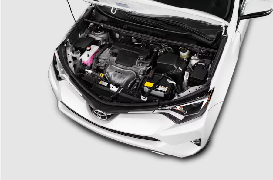 راوفور؛با کیفیتی زبان زد در میان بلندقامتان