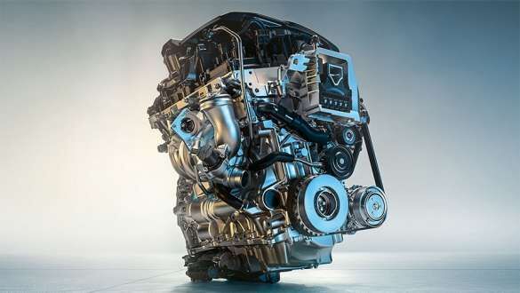 کوچولوی دوست داشتنی بامو چه در چنته دارد؟