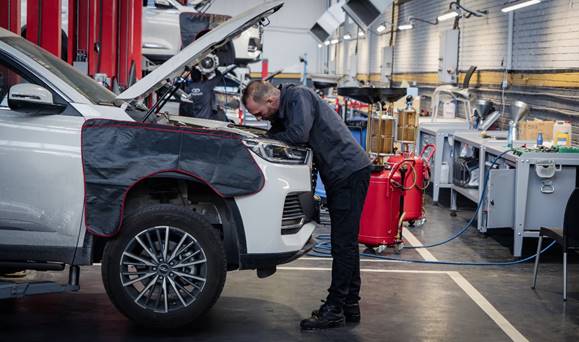 سرویسهای VIP فونیکس: محافظت از خودروهای لوکس در برابر هزینههای غیر ضروری