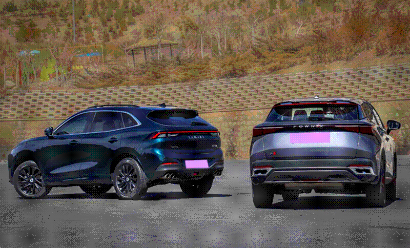 مقایسه لاماری ایما و فونیکس FX