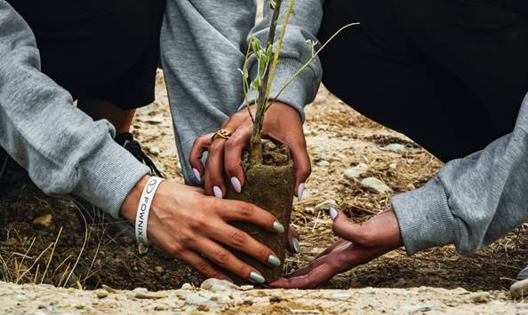 رویشگاه فونیکس با مشارکت مردم احداث شد