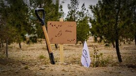 رویشگاه فونیکس با مشارکت مردم احداث شد