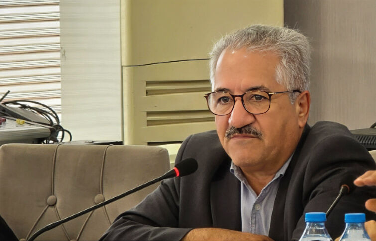 ۶۰ درصد  ارزش خودرو در جیب دولت و دلالان!