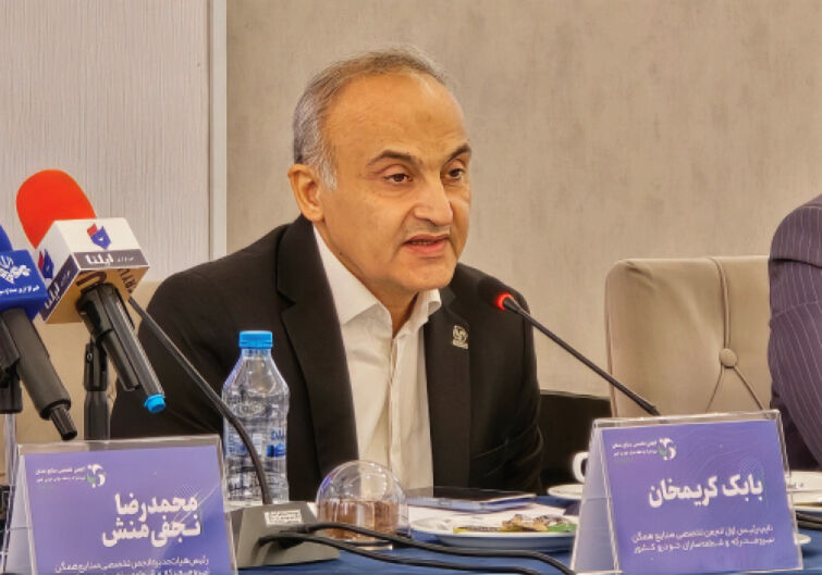 ۶۰ درصد  ارزش خودرو در جیب دولت و دلالان!