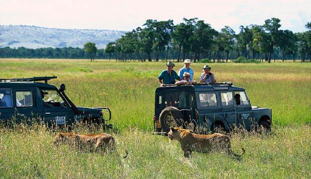 بهترین ماشین برای سافاری در آفریقا