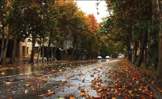 % خیابان؛ بارزترین نشانه بافت شهری