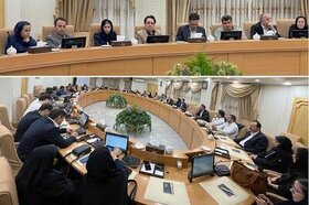 نسل جدید روغنهای موتور و سیالات خودروهای هیبریدی و الکتریکی توسط نفت ریسان معرفی شد