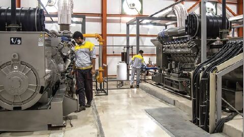 تولید روغن کشتی در منطقه ویژه